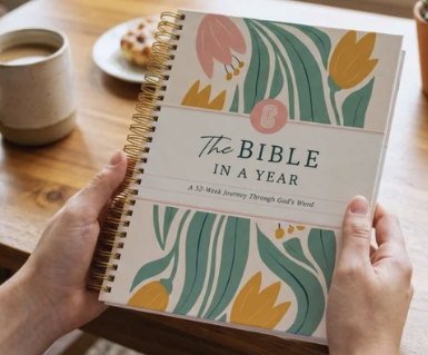 Bible In A Year